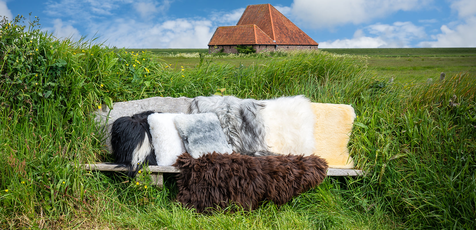 Kaufen Sie Schaffelle  Texelana Wollprodukte