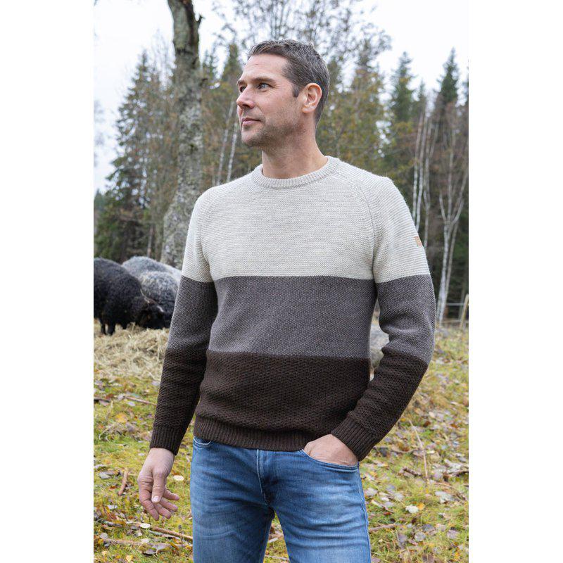 Ivanhoe of Sweden - NLS Larch | wollen herentrui