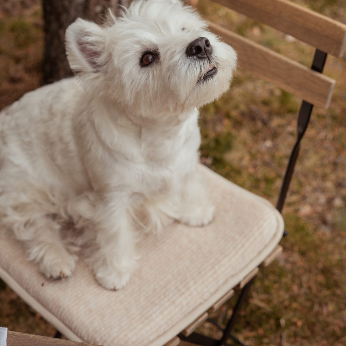 Flokati - Wave Chair Cushion | Merino wool chair cushion