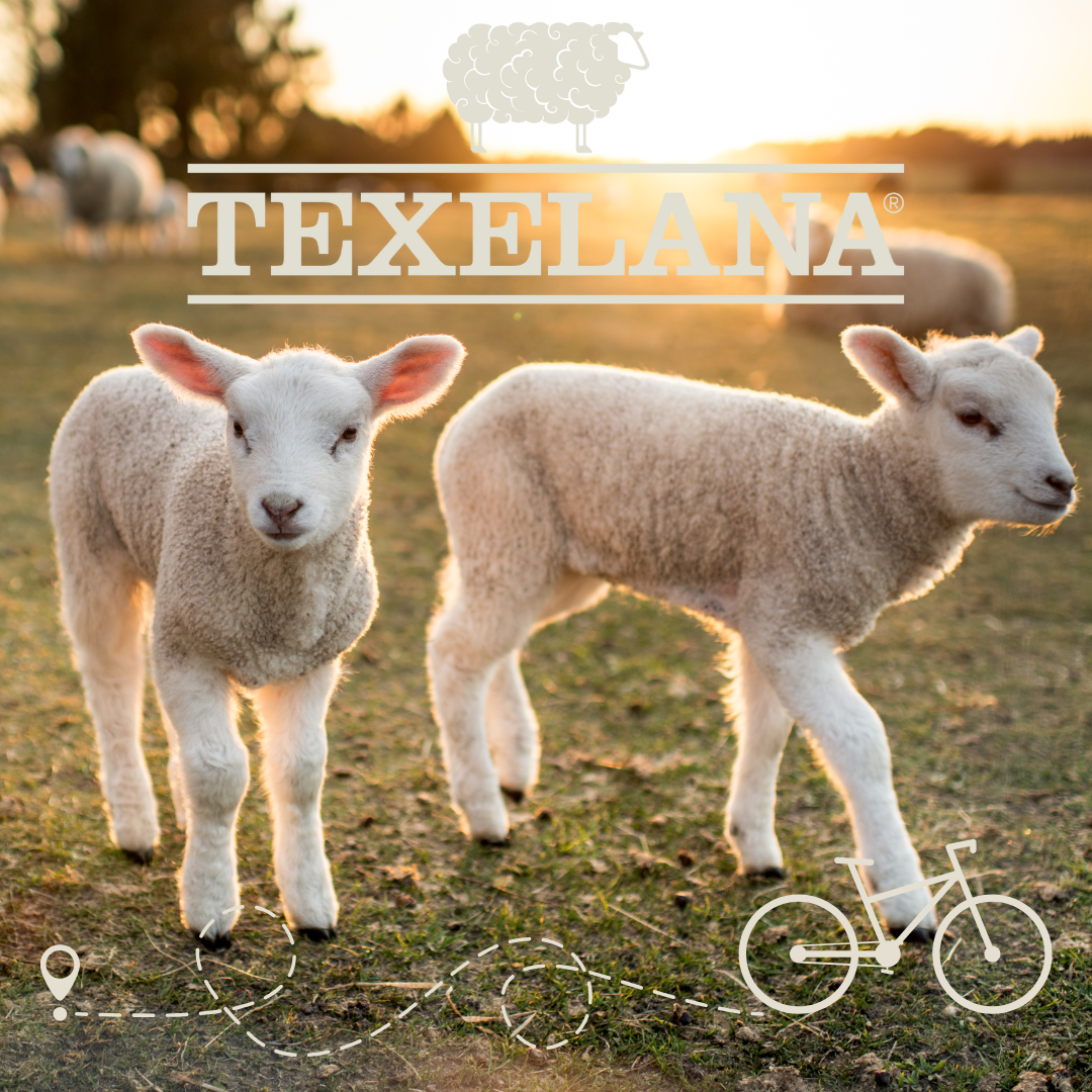 Texelana | Fluffy Fahrradsattelbezug aus Schaffell