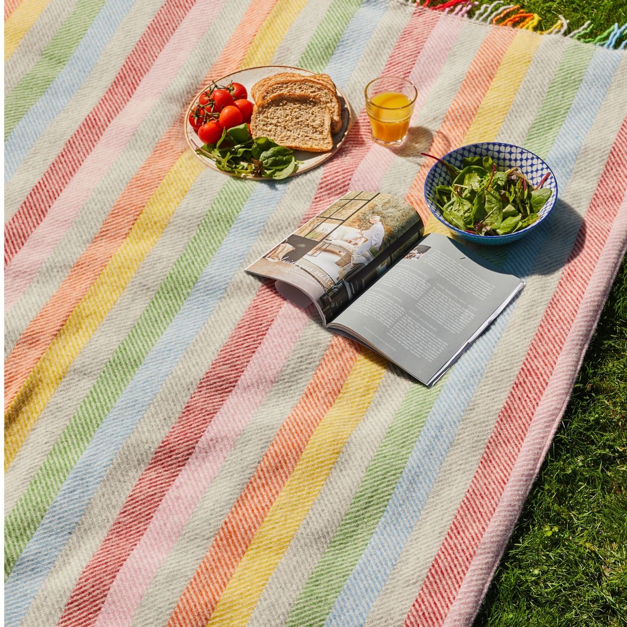 Tweedmill - Picnic rug | wool plaid