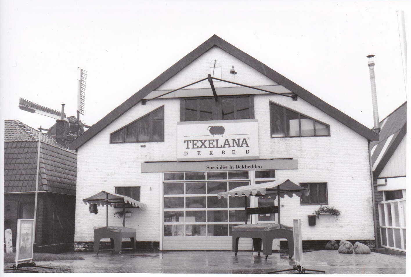 Texelana