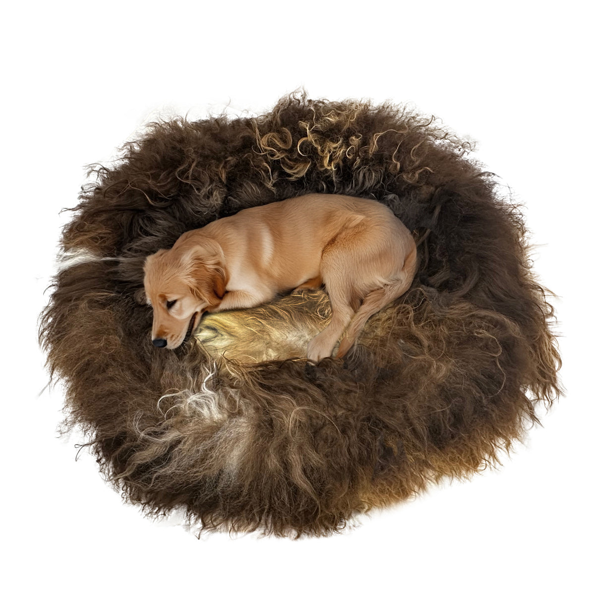 Belpo - sheepskin dog basket