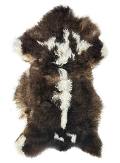 Texelana | lamsvachtje