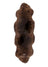 Texelana brown