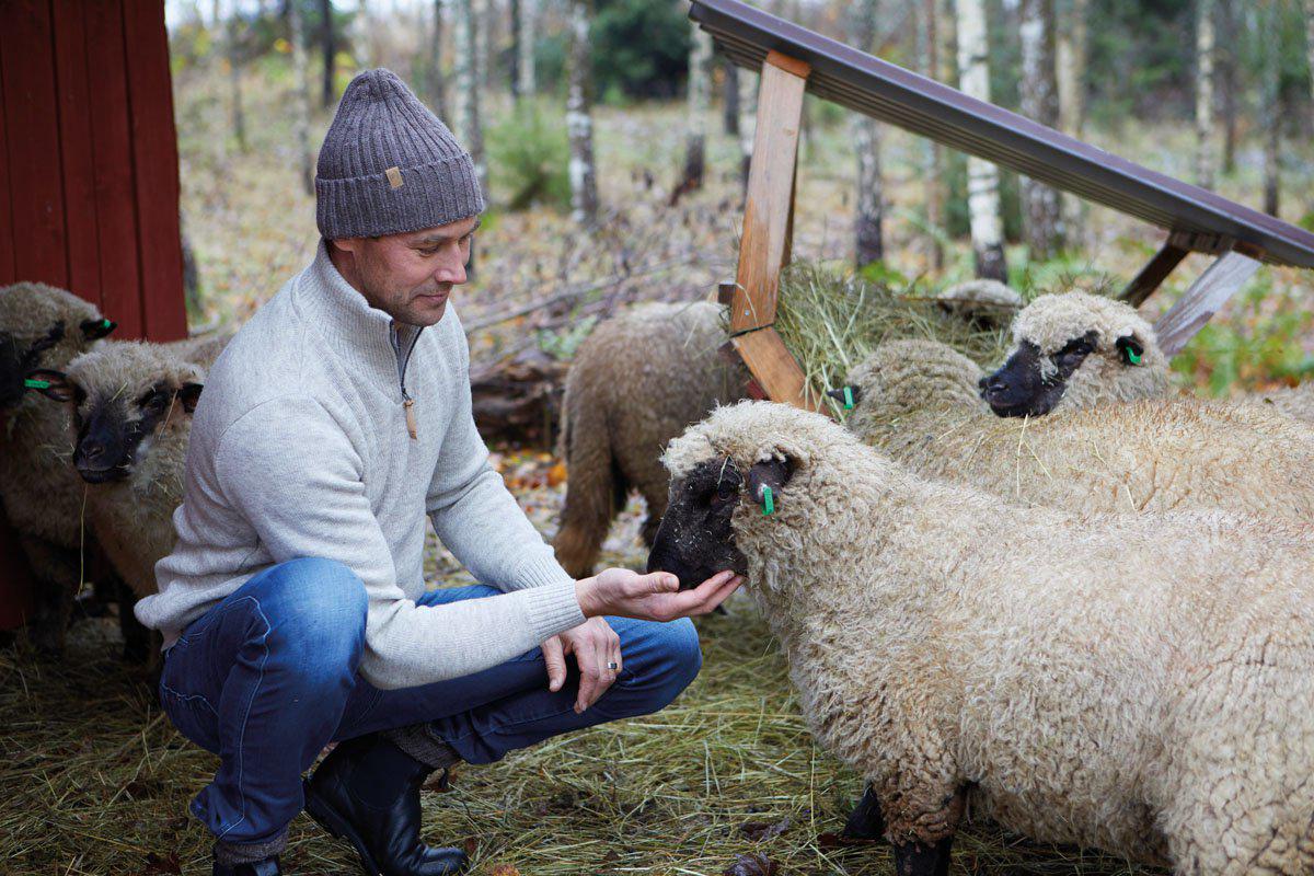 Ivanhoe Knitted in Sweden - NLS Elm HZ | wollen herentrui
