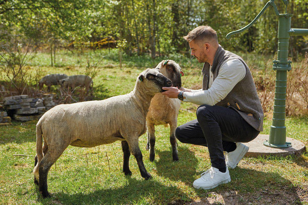 Ivanhoe of Sweden - NLS Barley Vest | Herren-Körperwärmer aus Wolle