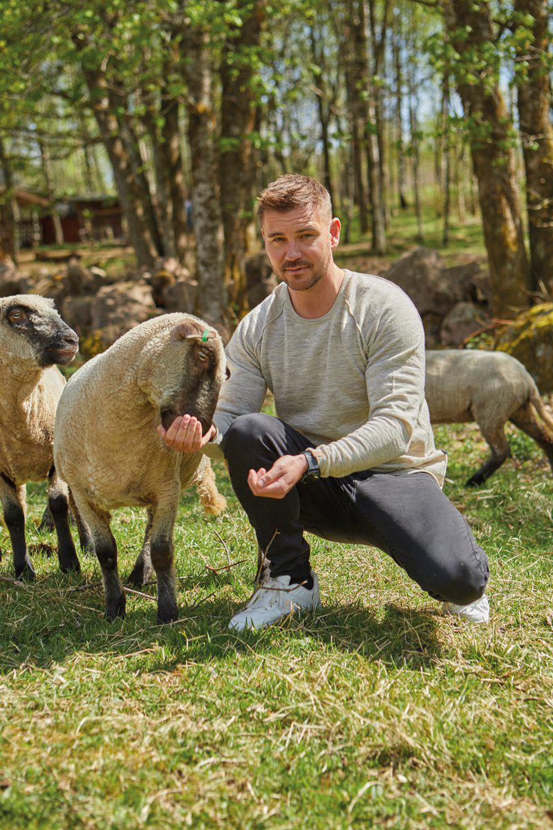 Ivanhoe Knitted in Sweden - NLS Beech crewneck | wollen herentrui