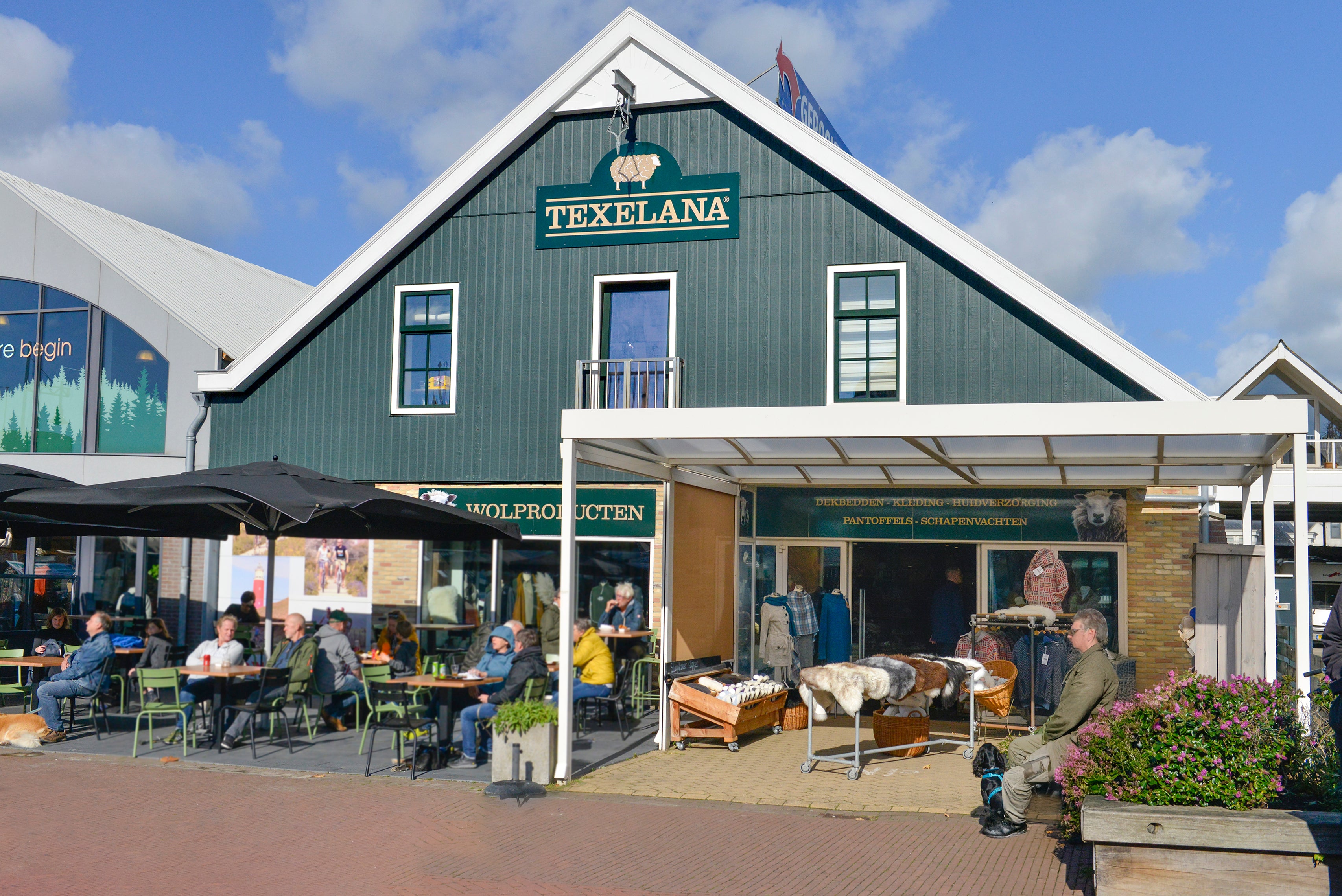 Texelana