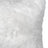 White (unpainted)